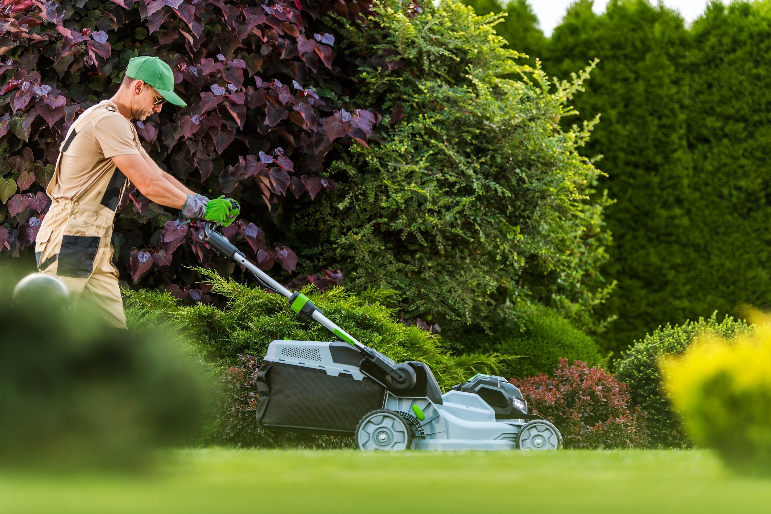 Landscaper mowing a manicured lawn with an electric mower, surrounded by lush greenery and colorful shrubs, enhancing outdoor aesthetics.