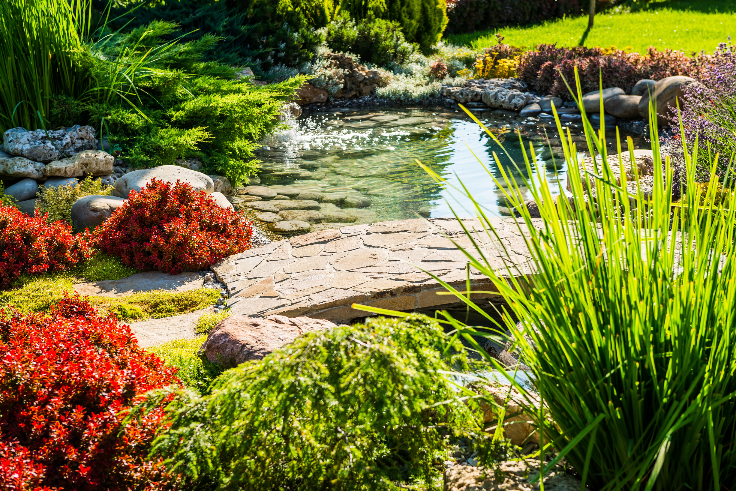 Vibrant garden scene featuring a clear pond surrounded by lush greenery, colorful shrubs, and a stone pathway, illustrating a serene outdoor setting.